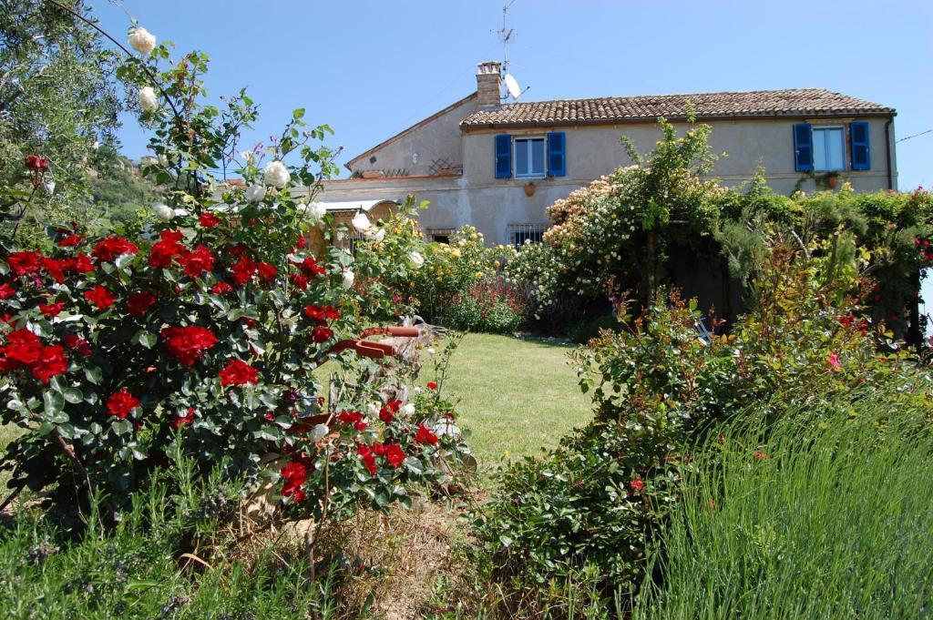 B&B Vento Di Rose Monterubbiano Exterior photo