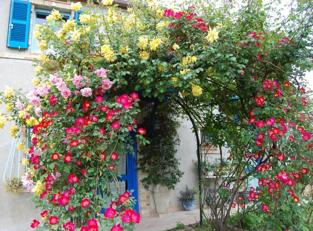 B&B Vento Di Rose Monterubbiano Exterior photo